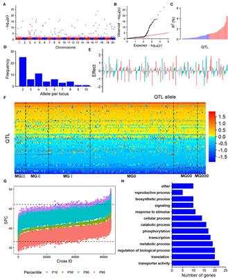 Transgressive Potential Prediction and Optimal Cross Design of Seed Protein Content in the Northeast China Soybean Population Based on Full Exploration of the QTL-Allele System